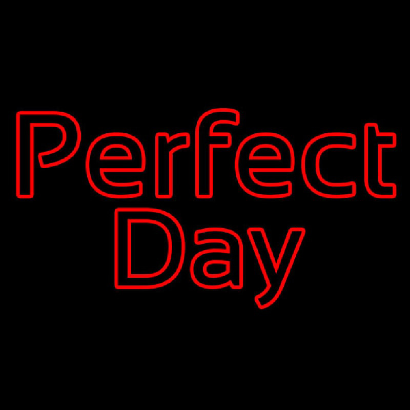 Custom Perfect Day Neon Sign USA