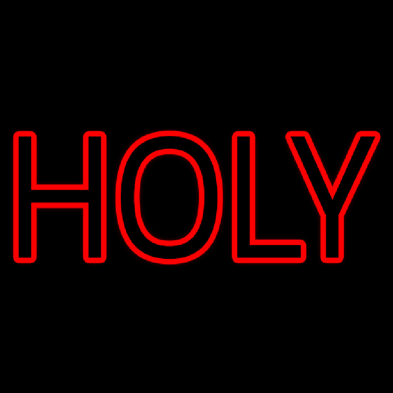 Custom Red Holy Neon Sign USA