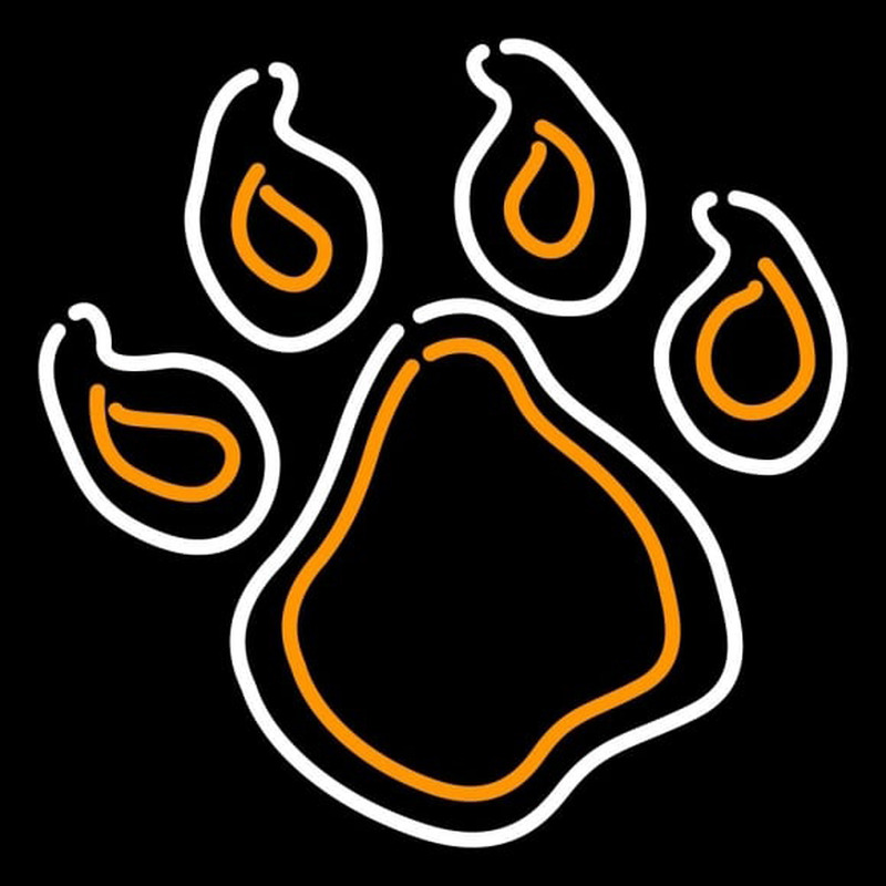 Custom Sam Houston State Bearkats Partial 1997 Pres Logo NCAA Neon Sign Neon Sign USA