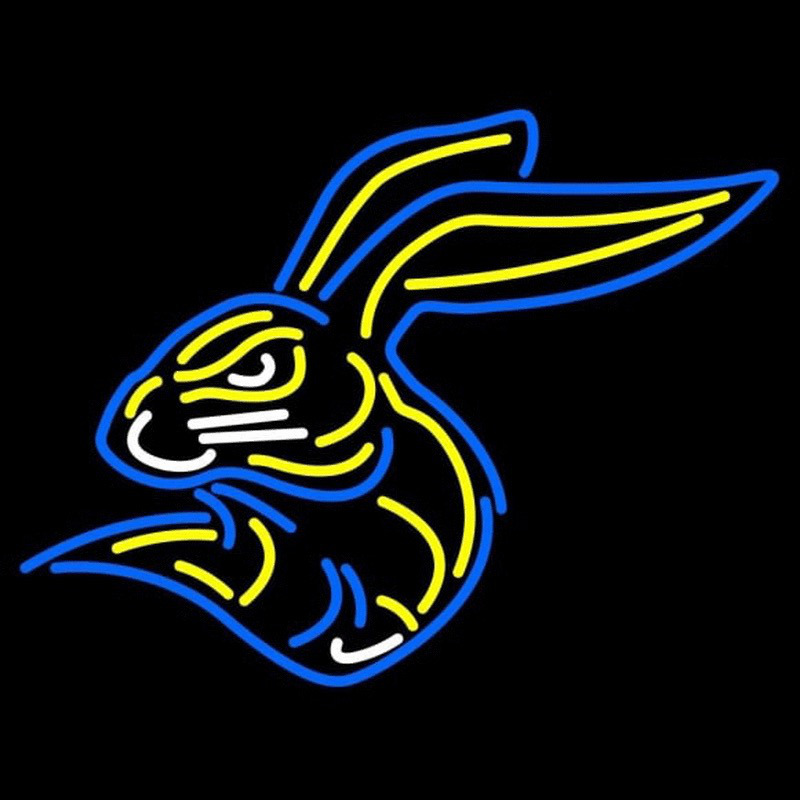 Custom South Dakota State Jackrabbits Partial 2008 Pres Logo Ncaa Neon Sign Neon Sign USA