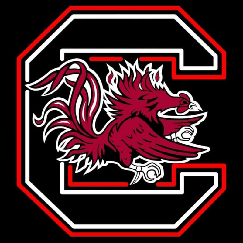 Custom Southcarolina Gamecocks with Logo Neon Sign Neon Sign USA