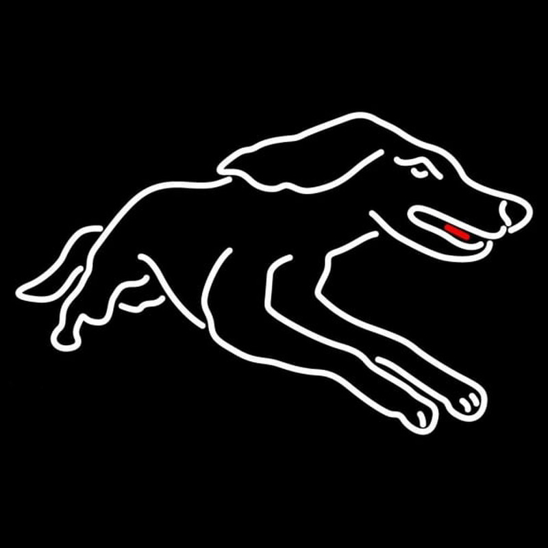 Custom Southern Illinois Salukis Alternate 2001 Pres Logo Ncaa Neon Sign Neon Sign USA