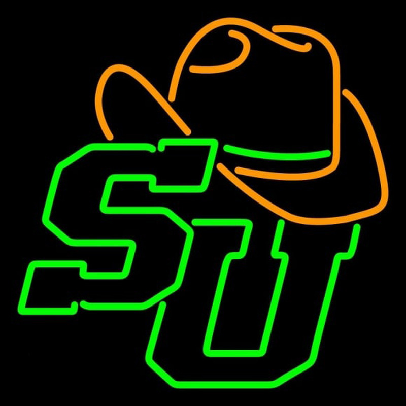 Custom Stetson Hatters Primary 2008 Pres Logo NCAA Neon Sign Neon Sign USA