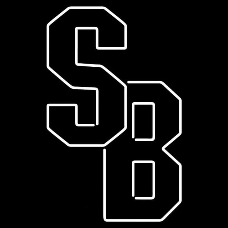 Custom Stony Brook Seawolves Alternate 2008 Pres Logo NCAA Neon Sign Neon Sign USA