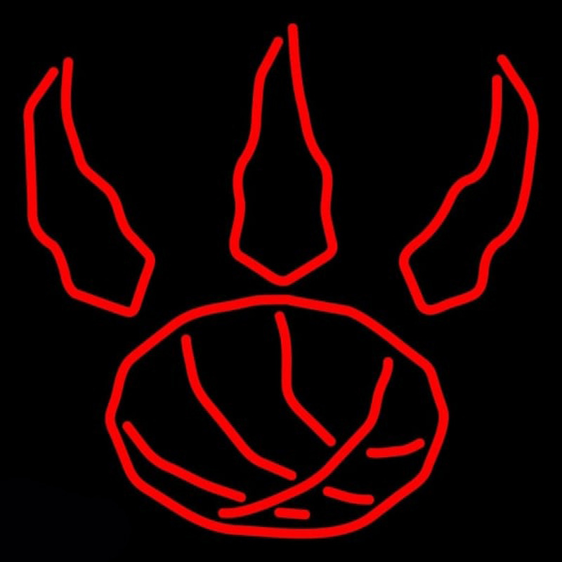 Custom Toronto Raptors Alternate 1995 1996 Pres Logo NBA Neon Sign Neon Sign USA