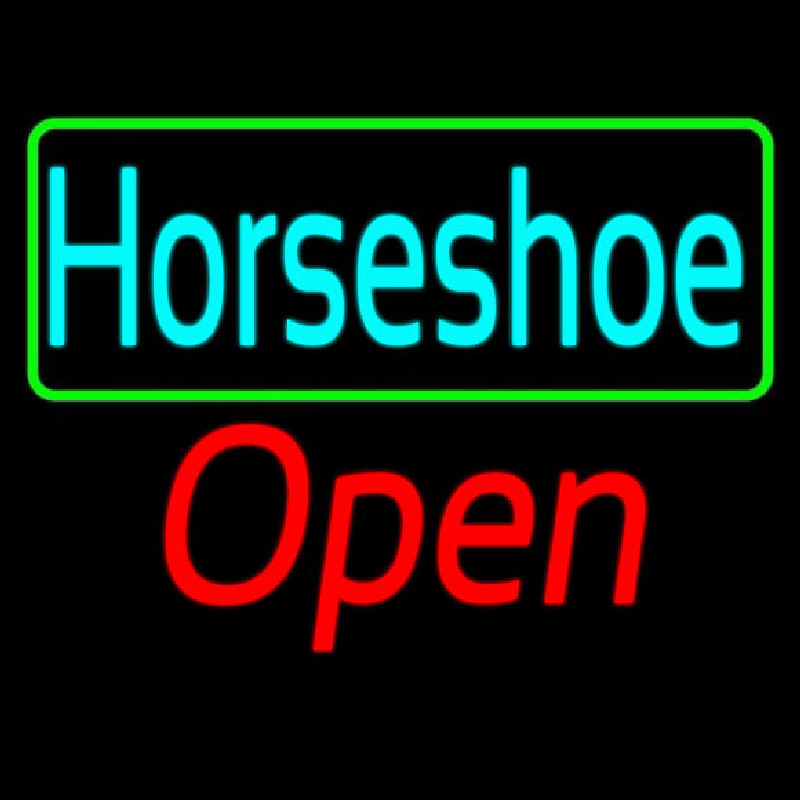Custom Turquoise Horseshoe Open With Border Neon Sign USA
