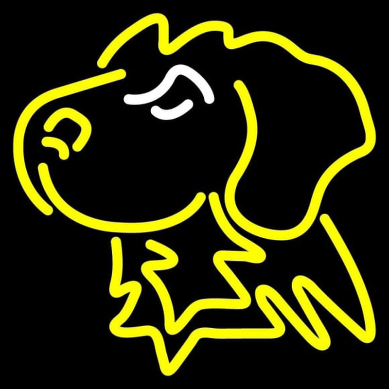 Custom Umbc Retrievers Partial 2010 Pres Logo Ncaa Neon Sign Neon Sign USA