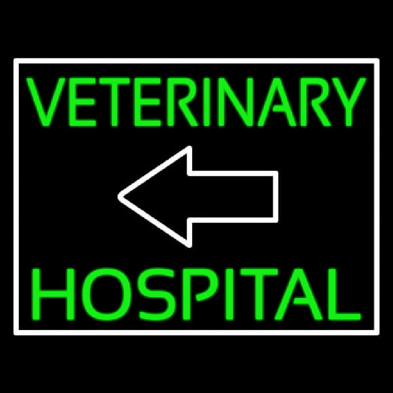 Custom Veterinary Hospital With Arrow Neon Sign USA