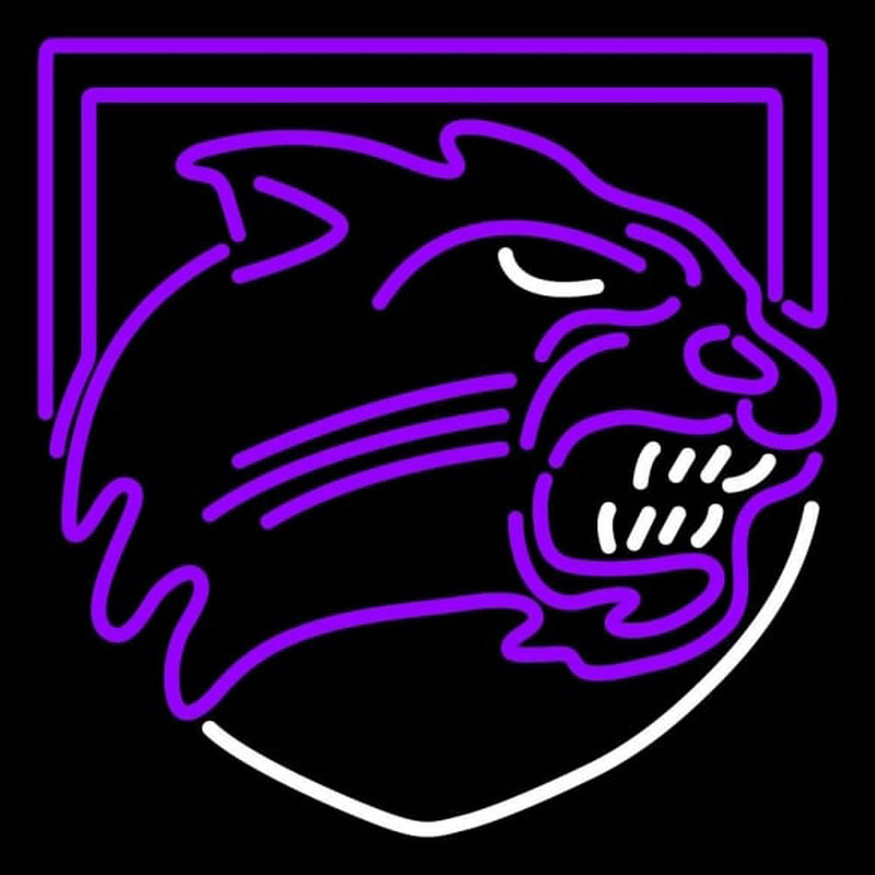 Custom Western Carolina Catamounts Alternate 2008 Pres Logo Ncaa Neon Sign Neon Sign USA