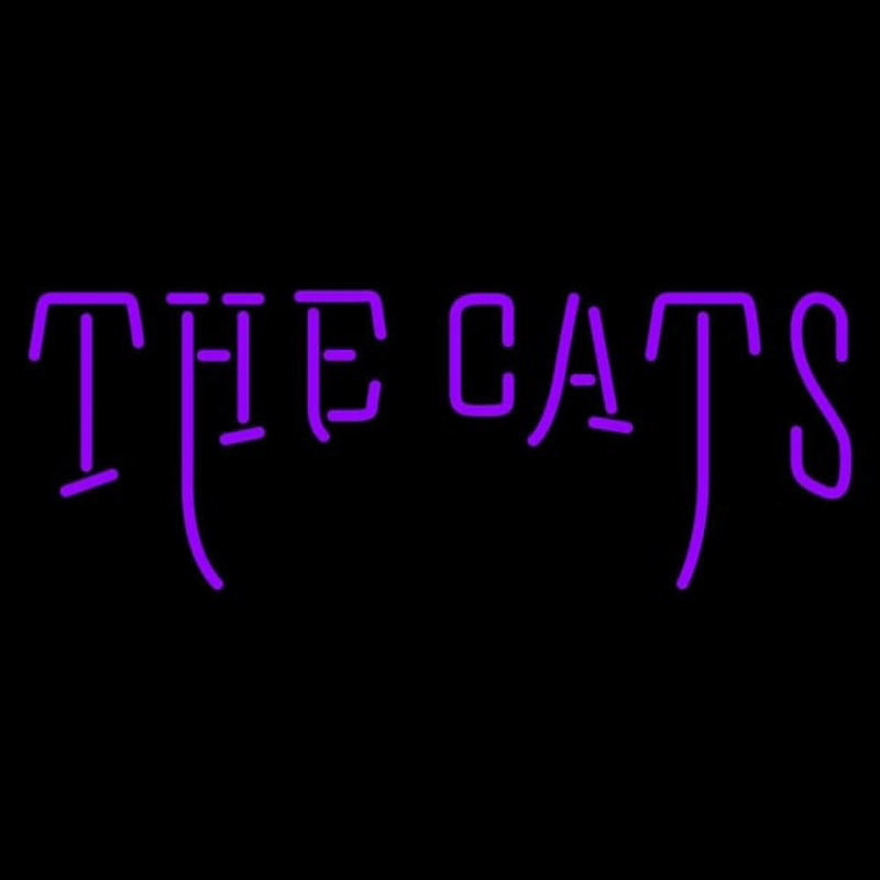 Custom Western Carolina Catamounts Wordmark 1996 2007 Logo Ncaa Neon Sign Neon Sign USA