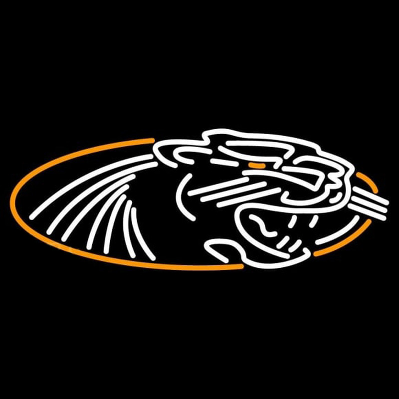 Custom Wisconsin Milwaukee Panthers Alternate 2002 2010 Logo Ncaa Neon Sign Neon Sign USA